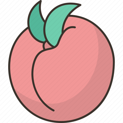 Peach, dessert, diet, ingredient, food icon - Download on Iconfinder
