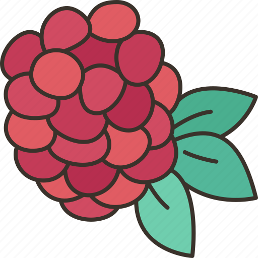 Raspberry, berry, diet, food, vitamin icon - Download on Iconfinder