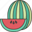 watermelon, fruit, sweet, juicy, summer 