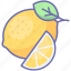 citrus, food, fruit, lemon 