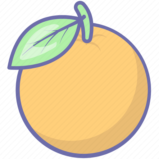 Citrus, food, fruit, orange icon - Download on Iconfinder