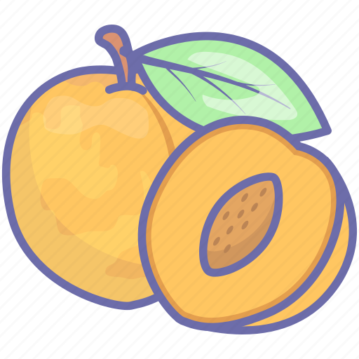 Food, fruit, fruits, peach icon - Download on Iconfinder