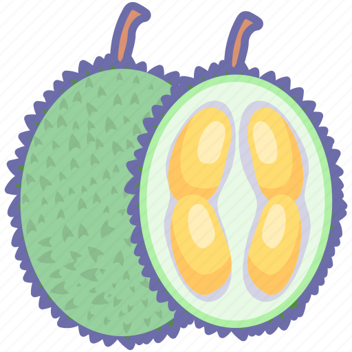 Durian, fruit, fruits icon - Download on Iconfinder