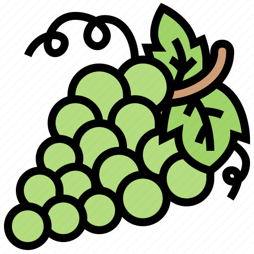 Grape, juicy, nutrient, raisins, winery icon - Download on Iconfinder