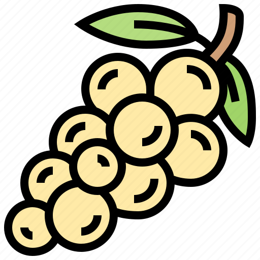 Exotic, fruit, longan, sweet, tropical icon - Download on Iconfinder