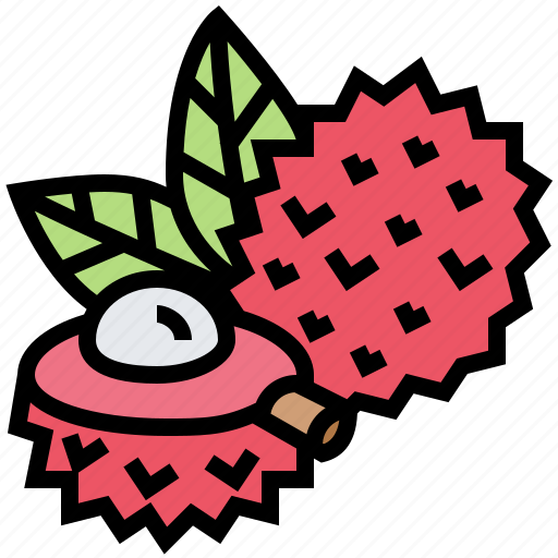 Asia, fruit, lichi, lychee, tropical icon - Download on Iconfinder