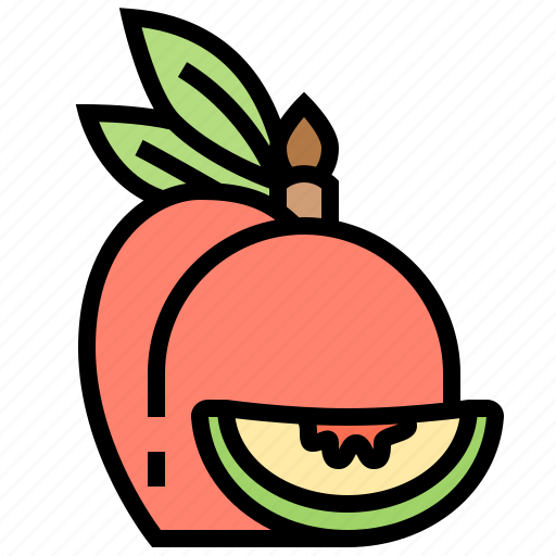 Apricot, fruit, juicy, nectarine, peach icon - Download on Iconfinder