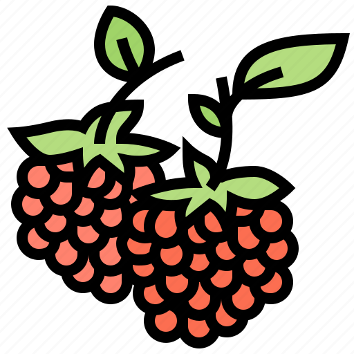 Fresh, fruit, juicy, raspberry, vitamin icon - Download on Iconfinder