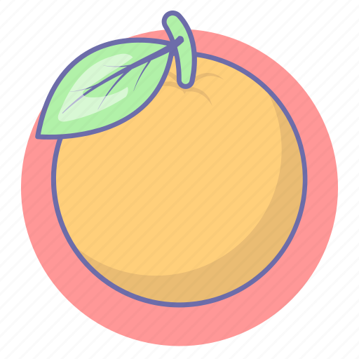 Citrus, food, fruit, fruits, orange icon - Download on Iconfinder