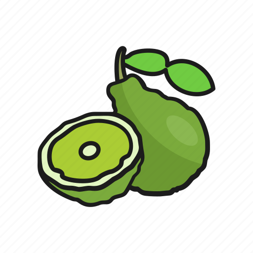 Bergamot, food, fruits, natural, organic icon - Download on Iconfinder