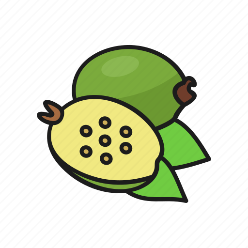 Feijoa, food, fruits, natural, organic icon - Download on Iconfinder