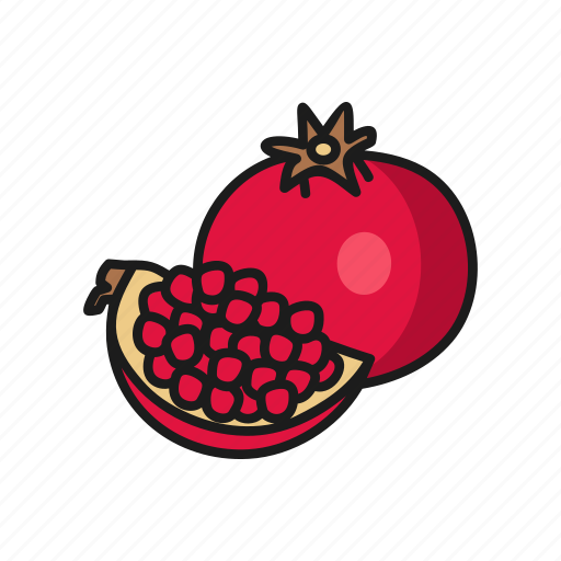 Food, fruits, garnet, natural, organic icon - Download on Iconfinder