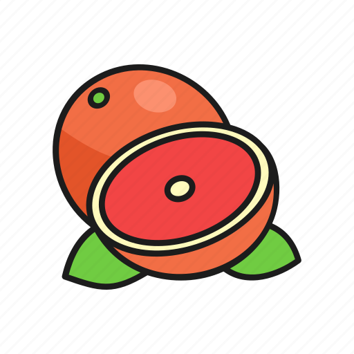 Food, fruit, grapefruit, organic icon - Download on Iconfinder