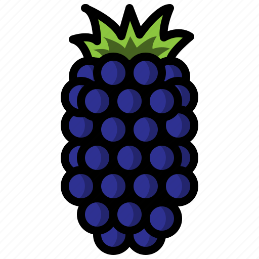 Berry, fruit, healthy, vegetable, sweet icon - Download on Iconfinder