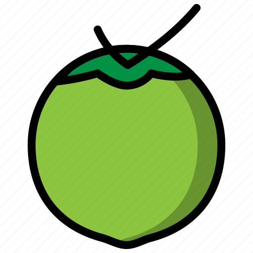 Coconut, fruit, drink, beverage, food, green, water icon - Download on Iconfinder