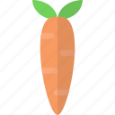 carrot, vegetable, healthy, fresh, vegetarian 