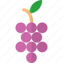 grapes, grape, grapefruit, fruits and vegetables 