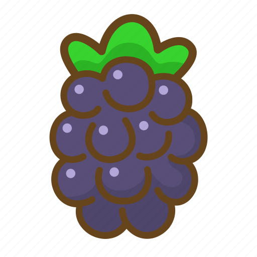 Blackberry, berry, fruit, food, eat, sweet, nature icon - Download on Iconfinder