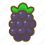 blackberry, berry, fruit, food, eat, sweet, nature 