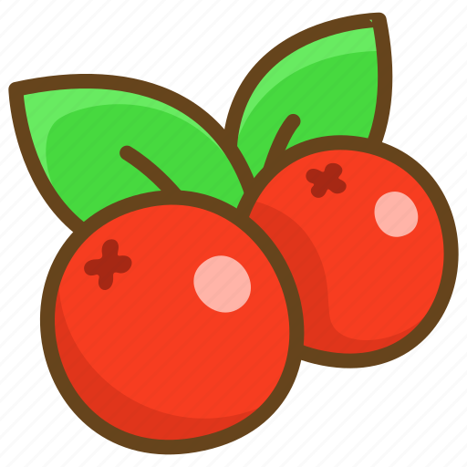 Cranberry, food, fruit, fresh, berry, eat, sweet icon - Download on Iconfinder