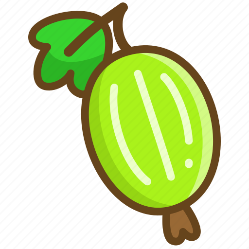 Gooseberry, fruit, food, eat, sweet, healthy, berry icon - Download on Iconfinder