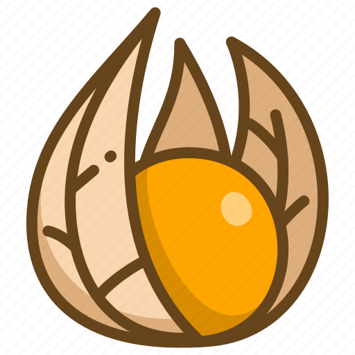 Physalis, berry, food, fruit, sweet, healthy, groundcherry icon - Download on Iconfinder