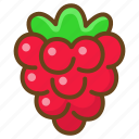raspberry, berry, food, fruit, sweet, healthy, eat