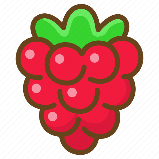 Raspberry, berry, food, fruit, sweet, healthy, eat icon - Download on Iconfinder