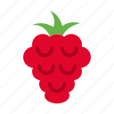raspberry, berry, fruit, fresh, healthy, food