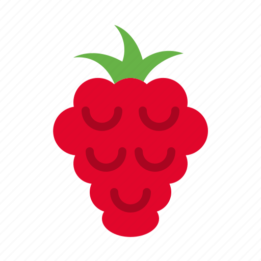 Raspberry, berry, fruit, fresh, healthy, food icon - Download on Iconfinder
