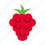 raspberry, berry, fruit, fresh, healthy, food 