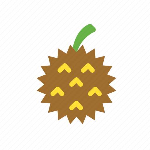 Durian, fruit, fresh, healthy, food icon - Download on Iconfinder