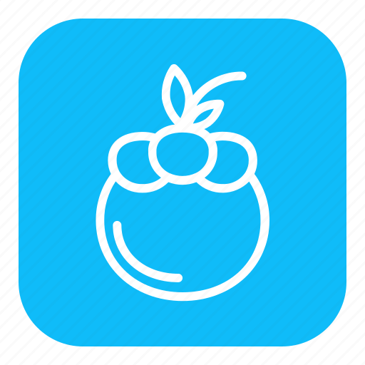 Fruit, food, healthy, mangosteen icon - Download on Iconfinder