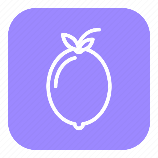 Fruit, food, healthy, lemon icon - Download on Iconfinder