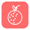 fruit, food, healthy, lychee