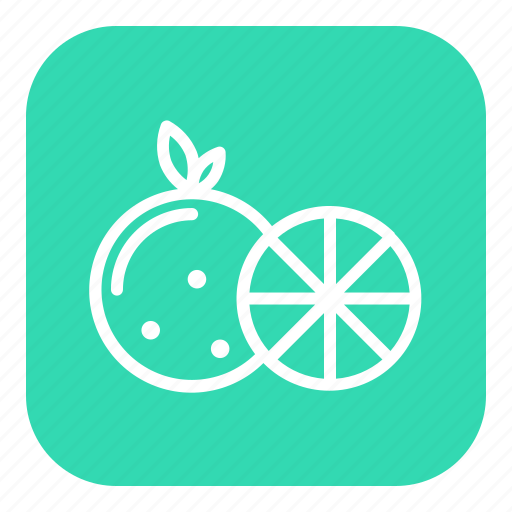 Fruit, food, healthy, orange icon - Download on Iconfinder