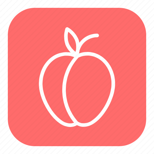 Fruit, food, healthy, peach icon - Download on Iconfinder