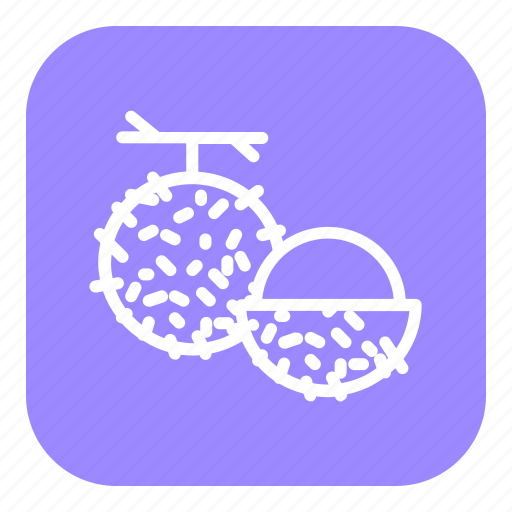 Fruit, food, healthy, rambutan icon - Download on Iconfinder