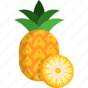 pineapple, pineapple slice, fruit, fruits, food, healthy