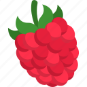 raspberry, rasberries, food, fruit, fruits, healthy