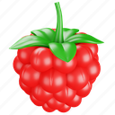 raspberry, fruit, food, healthy, berry, organic 
