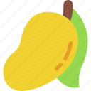 mango, fruit, food, organic, healthy, nature