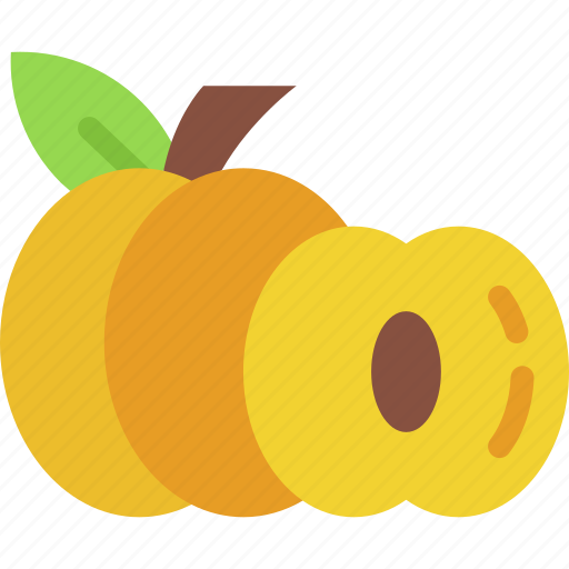 Apricot, organic, vegan, fruit, healthy, food, diet icon - Download on Iconfinder
