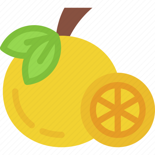 Orange, fruit, organic, vegan, diet, healthy, food icon - Download on Iconfinder