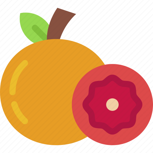 Grapefruit, fruit, organic, vegan, healthy, food, diet icon - Download on Iconfinder
