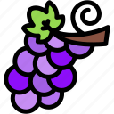 grapes, raspberry, fruit, food, blackberry, vegan