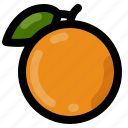 orange, fruit, food, healthy, citrus, fresh, orange fruit