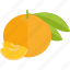 food, fruits, lobule, mandarin, sheet 