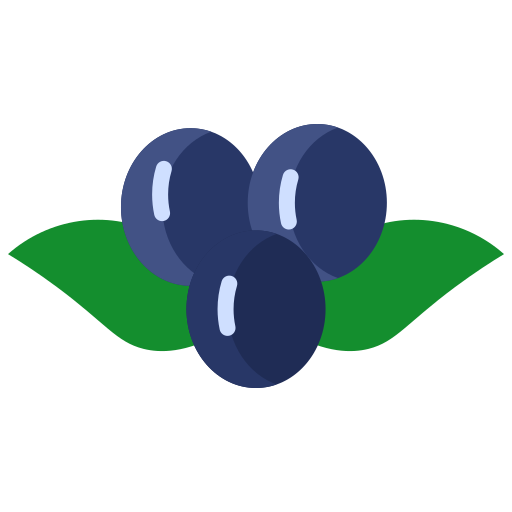 Berries, blueberry, food, fruit, fruits icon - Free download