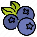blueberry, fruit, healthy, vegetarian